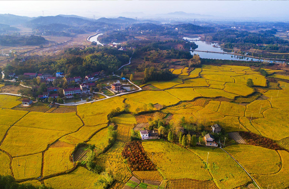 高水碘地區可以做哪些防治措施？