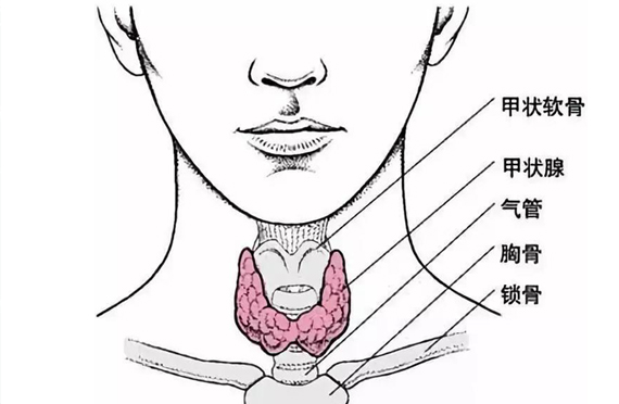 如何預防甲狀腺癌？